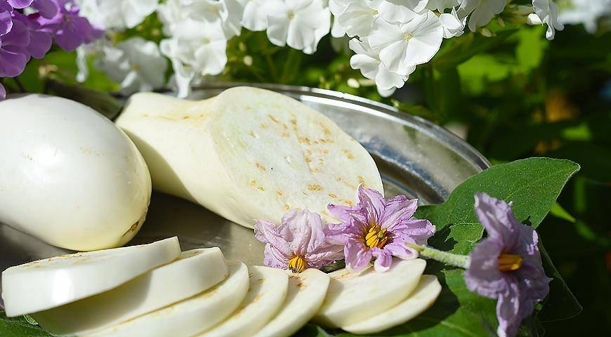 Белые баклажаны: от посева на рассаду до вкусного блюда