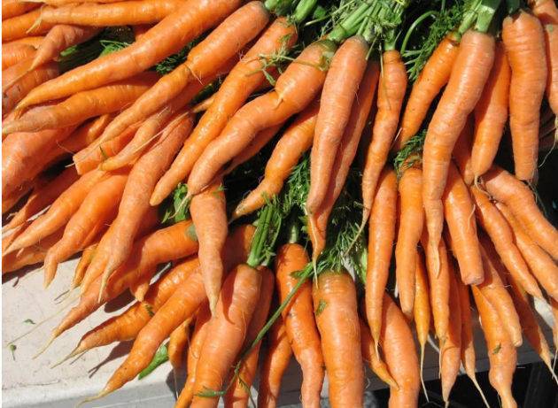 Как правильно поливать морковь  - zelenysad.ru