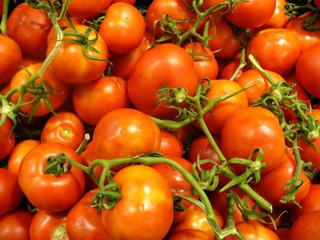 Как увеличить урожай помидоров в теплице  - zelenysad.ru