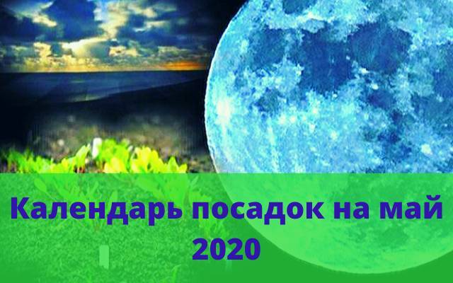 Посевной календарь на май 2020 года - dacha-svoimi-rukami.com