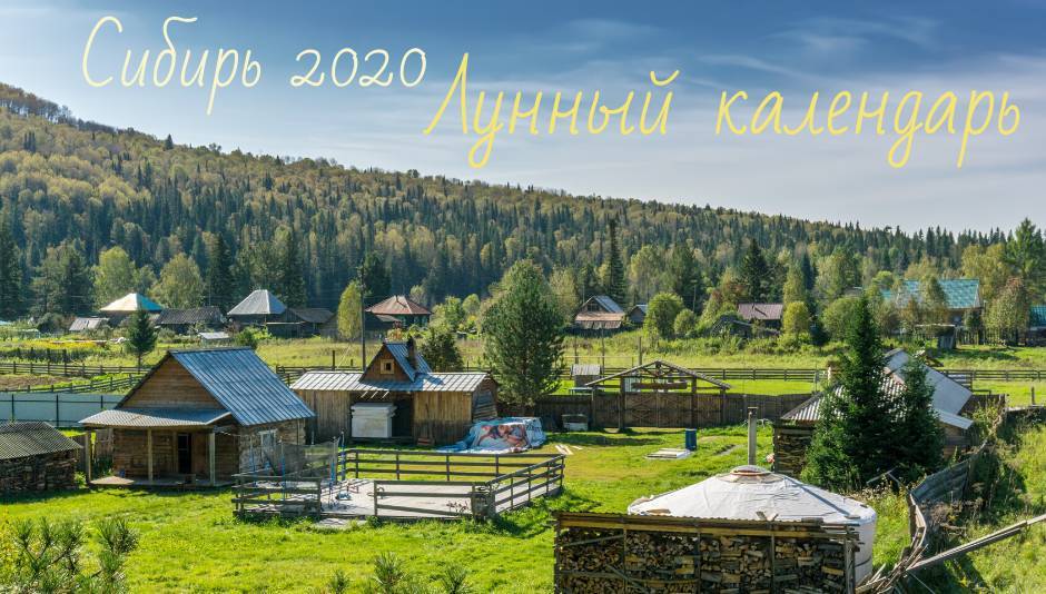 Лунный посевной календарь на 2020 год для садовода и огородника Сибири - babudacha.ru