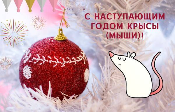Поделка «Мышка из носка» своими руками на Новый год 2020: Я сделала, получится и у вас! - babudacha.ru