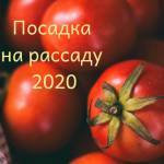 Посевная-2020: Календарь посева семян - babudacha.ru