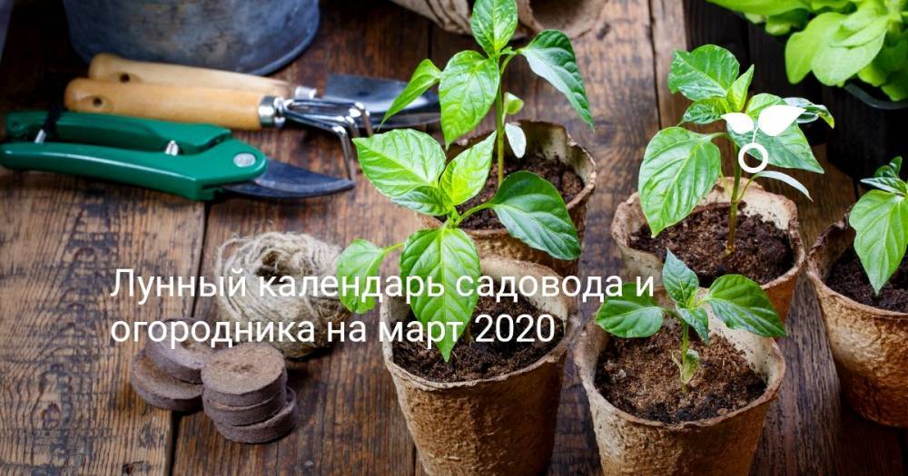 Лунный календарь садовода и огородника на март 2020 - botanichka.ru