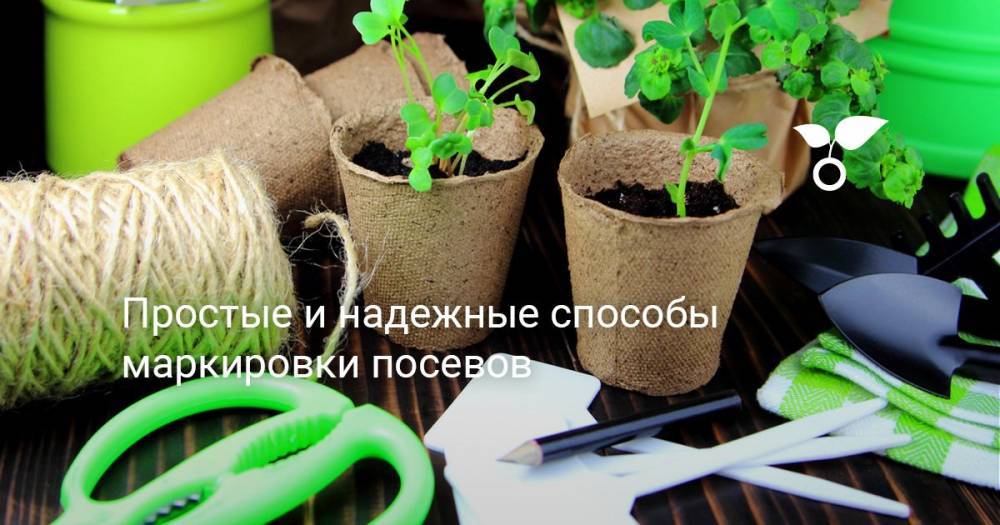 Простые и надежные способы маркировки посевов - botanichka.ru