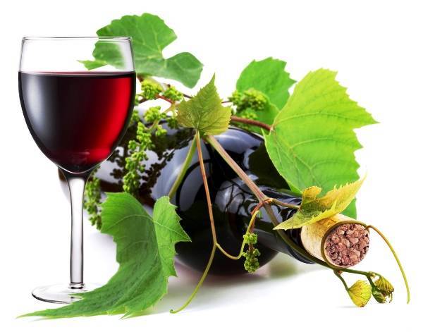 Лучшее вино из сорта вонограда Ливадийского черного - plodovie.ru