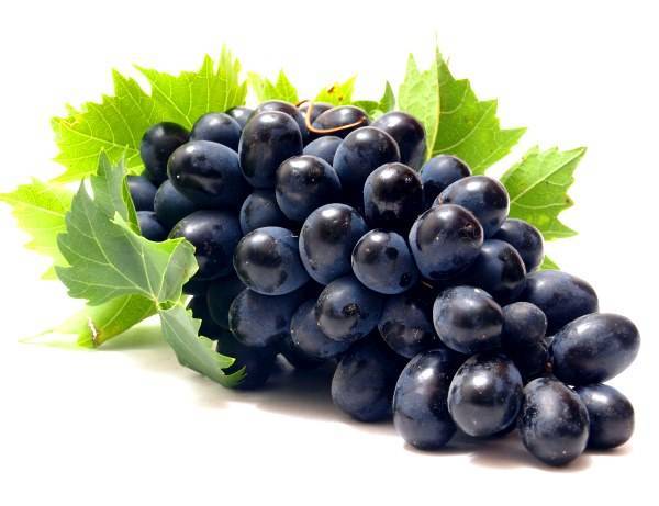 Обзор черных сортов винограда и их полезные свойства - plodovie.ru - г. Виноград
