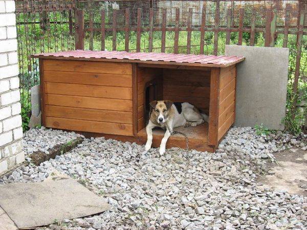 Как и чем можно утеплить будку для собаки на зиму - plodovie.ru
