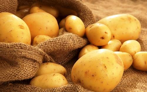 Как правильно подготовить картофель к посадке - plodovie.ru