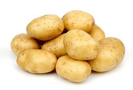 Как получить максимальный урожай картофеля с 1 га - plodovie.ru - Россия