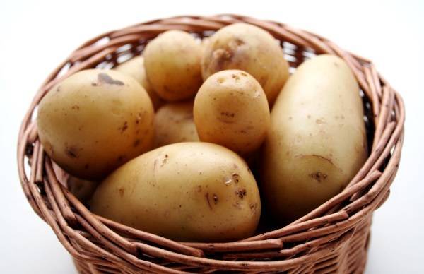 Суть и достоинства голландской технологии выращивания картофеля - plodovie.ru - Россия