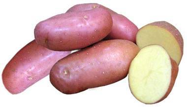 Характеристика и выращивание сорта картофеля Розара - plodovie.ru