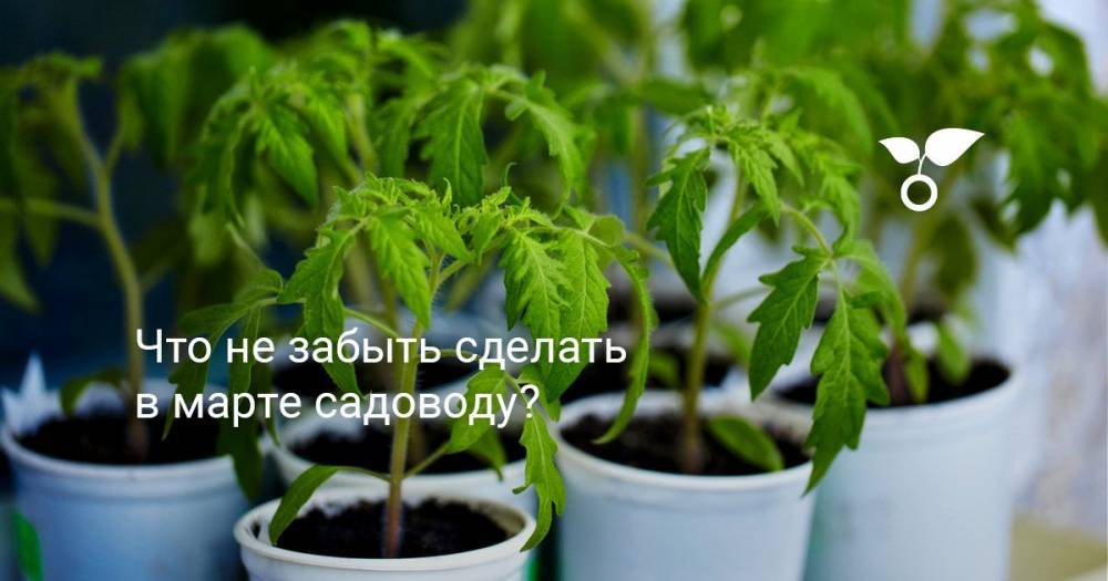 Что не забыть сделать в марте садоводу? - botanichka.ru