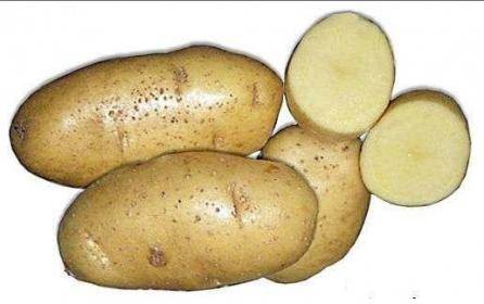 Что такое суперэлита и элита картофеля? - sad-dacha-ogorod.com