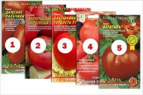 ТОП - 5 томатов, продаваемых в 2020 году - sotki.ru