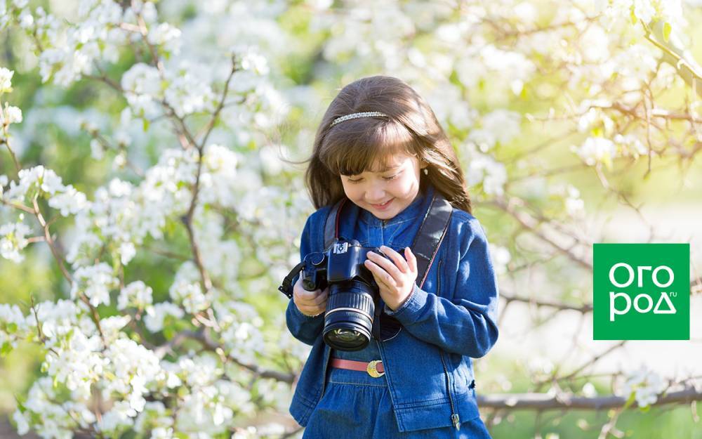 Как правильно снимать цветы в своем саду – 7 секретов от профессионального фотографа - ogorod.ru