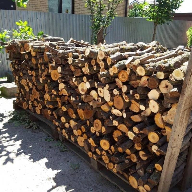 3 факта о дровах, которые заставят перебрать поленницу - orchardo.ru