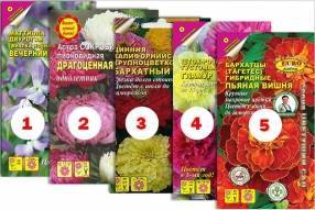 Топ -5: какие цветы покупают для дачи - sotki.ru