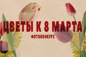 Фотоконкурс «Цветы к 8 марта» - sotki.ru
