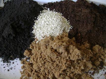 Можно ли для почвосмесей использовать морской песок? - sad-dacha-ogorod.com