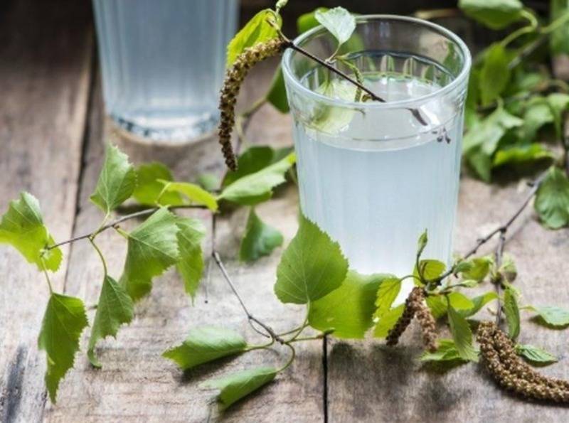 5 хмельных напитков, которые можно приготовить из березового сока - orchardo.ru - Россия
