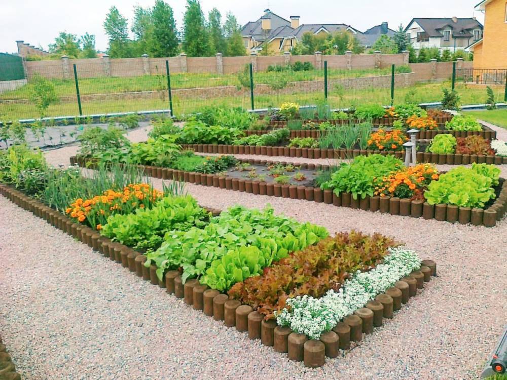 Как правильно подготовить участок на огороде перед посадкой растений - 7ogorod.ru