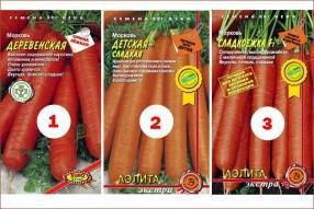 Топ-3 самых продаваемых семян моркови в 2020 году - sotki.ru