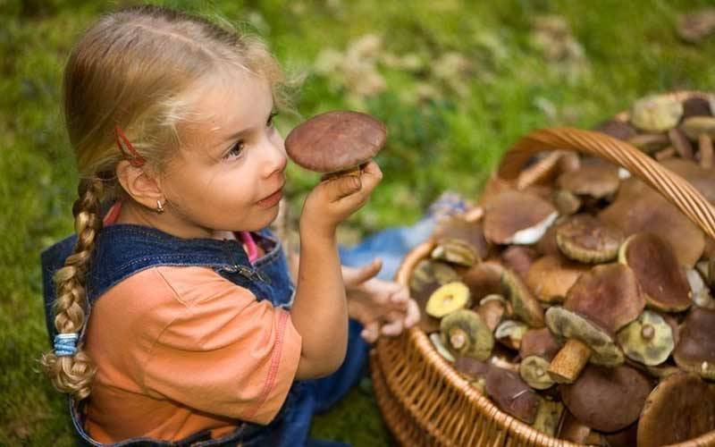 Можно ли детям употреблять грибы и с какого возраста - sveklon.ru
