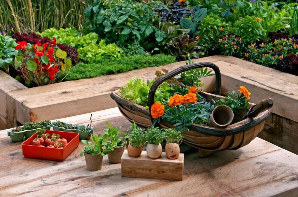 11 идей мини-грядок для свежих овощей и зелени - ogorod.ru