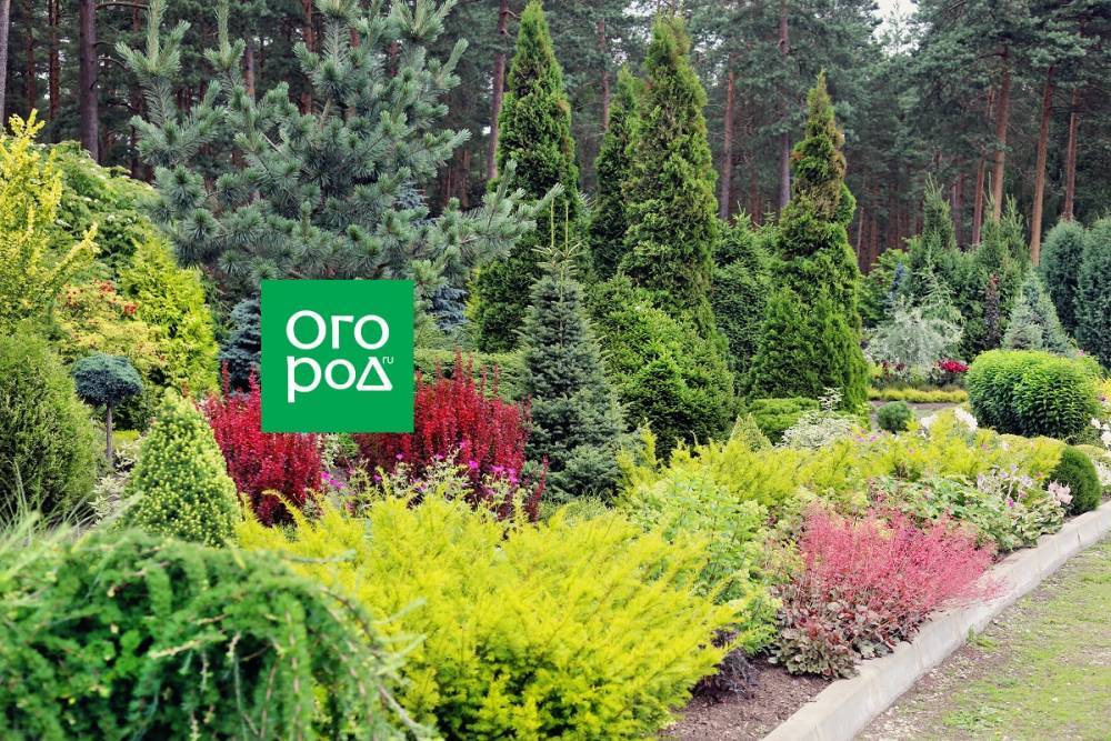 47 приемов для малоуходного сада от ландшафтного дизайнера - ogorod.ru