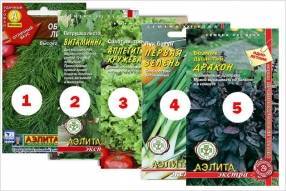 Топ-5 самых продаваемых семян зелени в 2020 году - sotki.ru