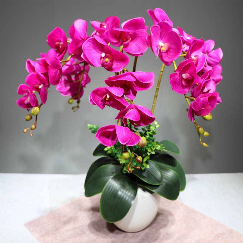 Орхидея больше полугода отказывается цвести: 4 возможные причины - diz-cafe.com
