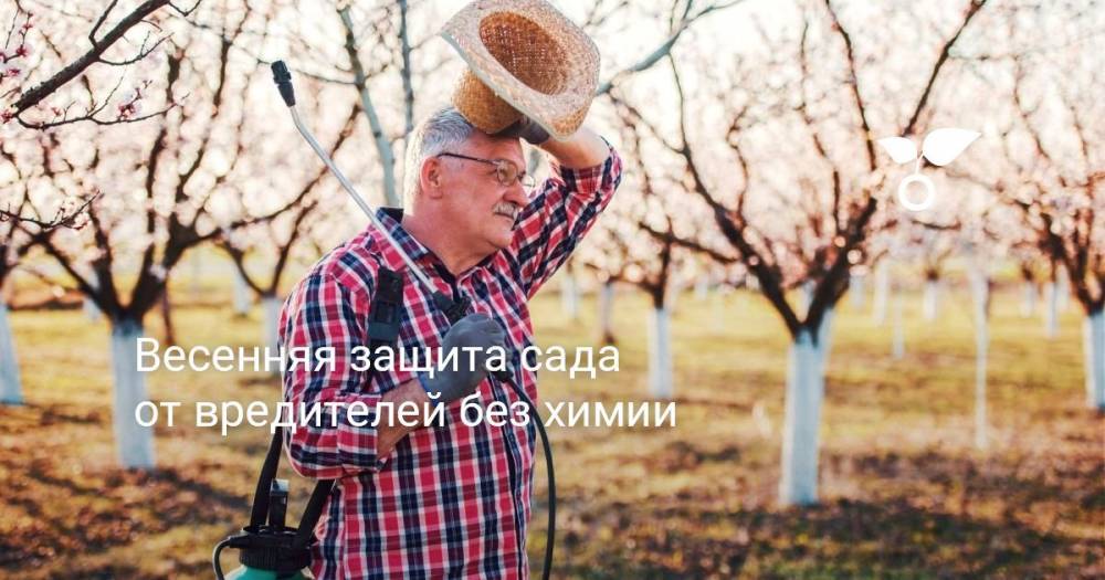 Весенняя защита сада от вредителей без химии - botanichka.ru