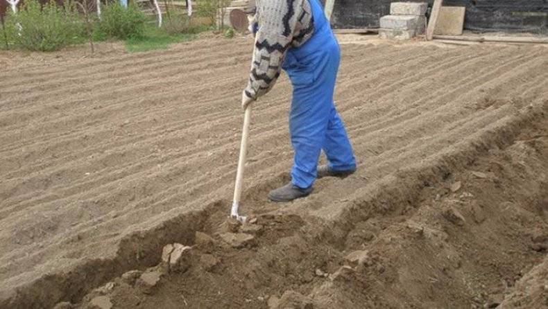 Как вскопать землю вручную: лопатой, быстро, легко, чудо-лопатой, весной, осенью, фото, видео - fermilon.ru