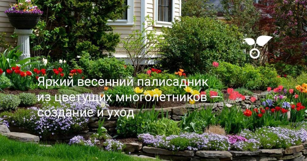 Яркий весенний палисадник из цветущих многолетников — создание и уход - botanichka.ru