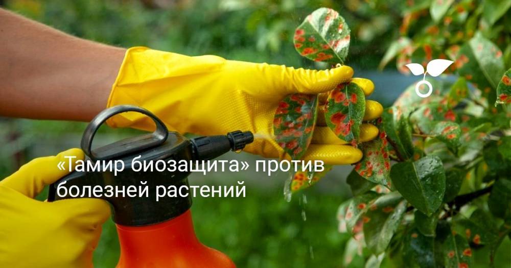 «Тамир биозащита» против болезней растений - botanichka.ru
