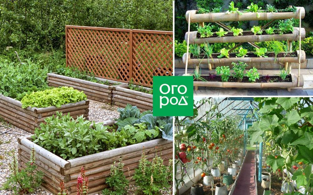 Красивые грядки своими руками: 50 идей, как украсить огород и вырастить хороший урожай - ogorod.ru