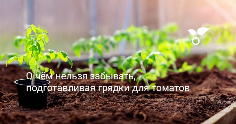 О чём нельзя забывать, подготавливая грядки для томатов - botanichka.ru