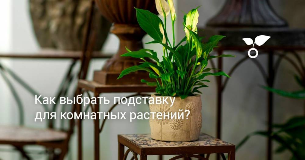 Как выбрать подставку для комнатных растений? - botanichka.ru