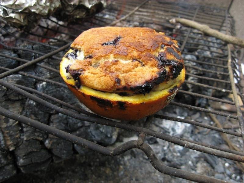 Не только шашлыки: 7 блюд, которые можно приготовить на открытом огне - orchardo.ru