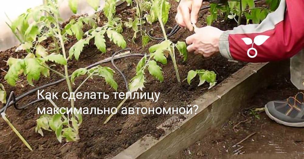 «Умная» теплица, или Как сделать теплицу максимально автономной? - botanichka.ru