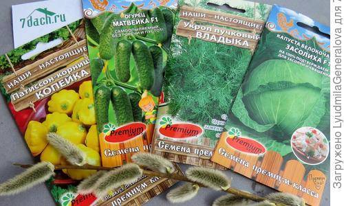 Семена от "Premium Seeds" прибыли на Омскую землю - 7dach.ru - Омская обл.