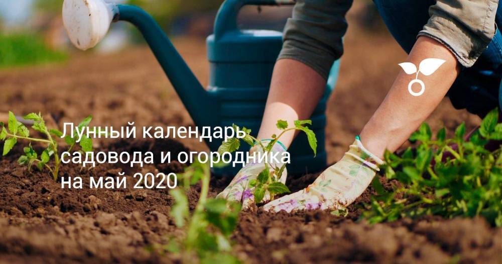 Лунный календарь садовода и огородника на май 2020 - botanichka.ru - Россия