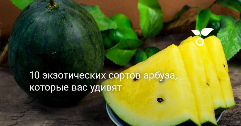 10 экзотических сортов арбуза, которые вас удивят - botanichka.ru
