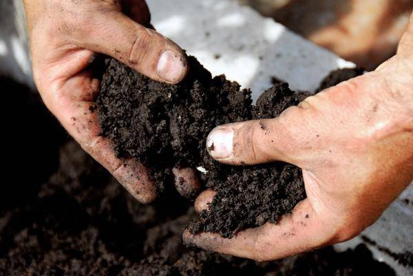Как определить какого типа почва на огороде - 7ogorod.ru - Россия