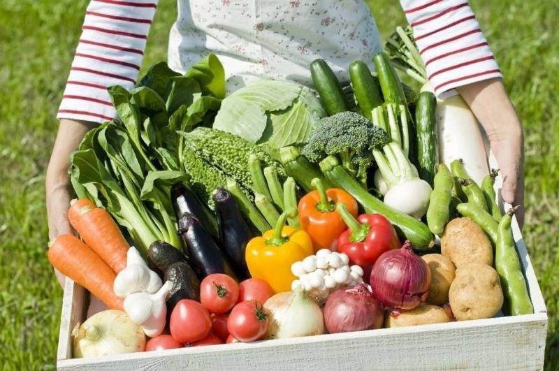 11 овощей, которые нужно сажать в кризис, чтобы не голодать - orchardo.ru