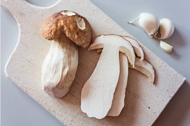 Как правильно чистить белые грибы перед приготовлением - sveklon.ru