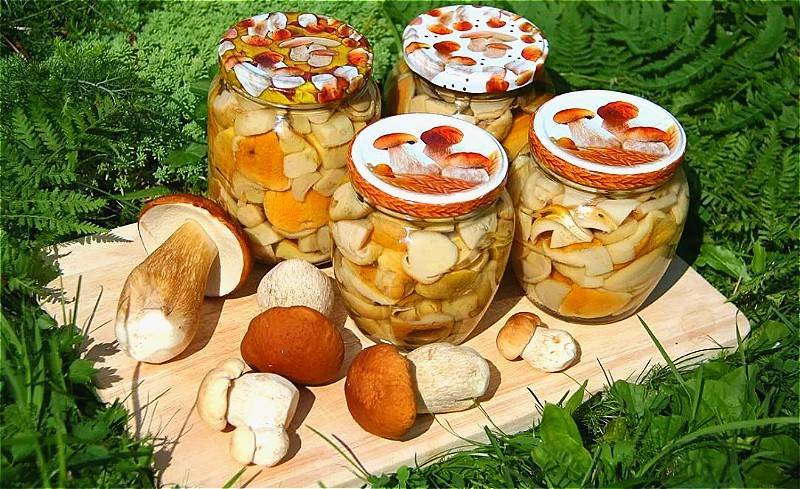 Как вкусно засолить белые грибы в домашних условиях - sveklon.ru