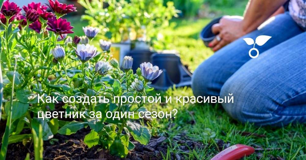 Как создать простой и красивый цветник за один сезон? - botanichka.ru