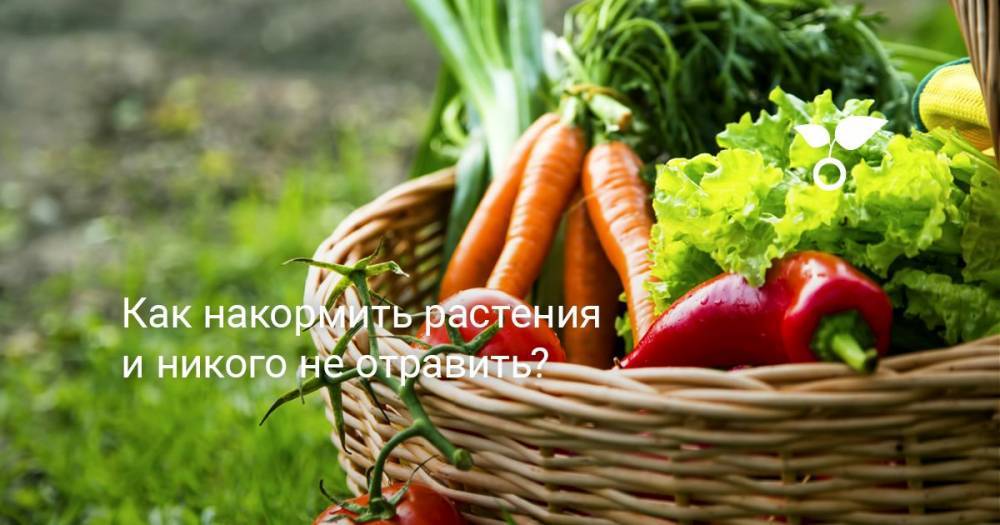 Как накормить растения и никого не отравить? - botanichka.ru